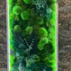 Lighted rectangular moss wall art with preserved plants and ball moss in a light wood frame mounted on a cork wall.