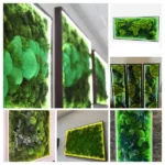 Custom Illuminated Moss Picture