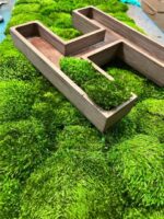3D Wooden Letters for Logo with Provence Moss A-Z 0-9 - Image 4