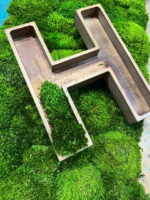 3D Wooden Letters for Logo with Provence Moss A-Z 0-9 - Image 5