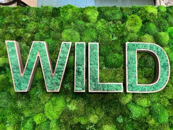 3D Logo with Wooden Letters and Moss - Image 2