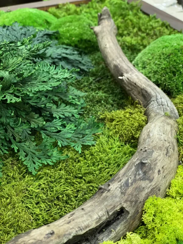 Moss Wall Art with Wood and Tinder Fungus - Image 3