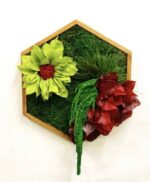 Hexagon Moss Wall Art with Plants and Flowers