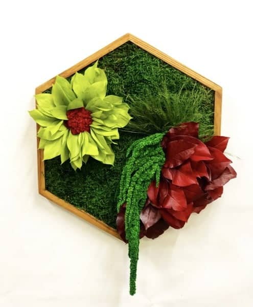 img_e2393.800x600w.jpg Hexagon Moss Wall Art with Plants and Flowers - Image 1
