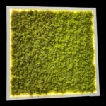 Moss Wall Art with Reindeer Moss and LED Lighting