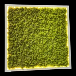 Moss Wall Art with Reindeer Moss and LED Lighting