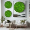 kugelmoos-30cm-photoroom_24_02_2024.webp Three-piece round preserved moss wall art set mounted on a wall above a living room sofa
