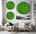 Round Moss Wall Art 3-Piece Set - Reindeer Moss Circles