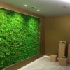 Large green ball moss wall panel mounted on an interior accent wall beside display pedestals.