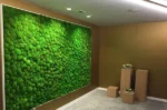 Moss Panel with Ball Moss - Image 2