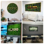 Moss picture with logo