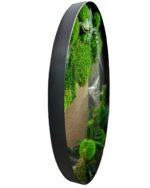 Jungle Moss and Plant Frame Mirror - Image 3