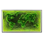 3D Illuminated World Map with Spherical and Flat Moss