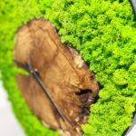 Wall Clock with Iceland Moss and Solid Wood - Image 4