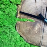 Wall Clock with Iceland Moss and Solid Wood - Image 5