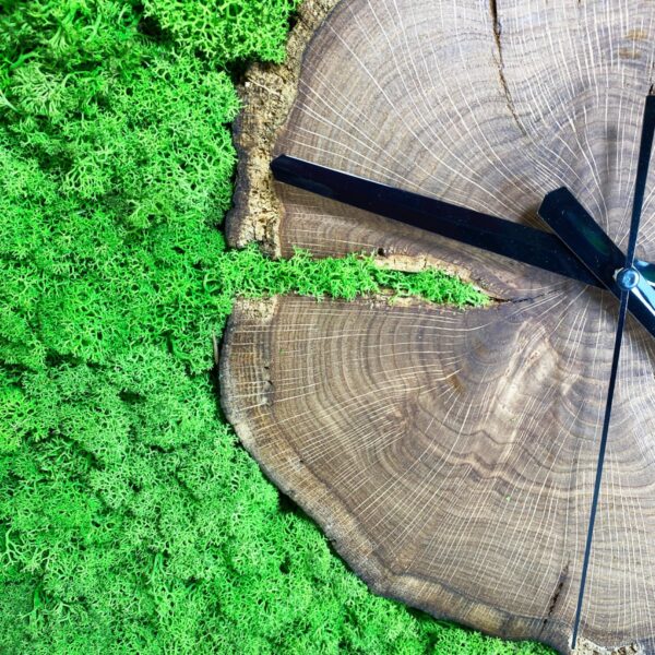Wall Clock with Iceland Moss and Solid Wood - Image 5