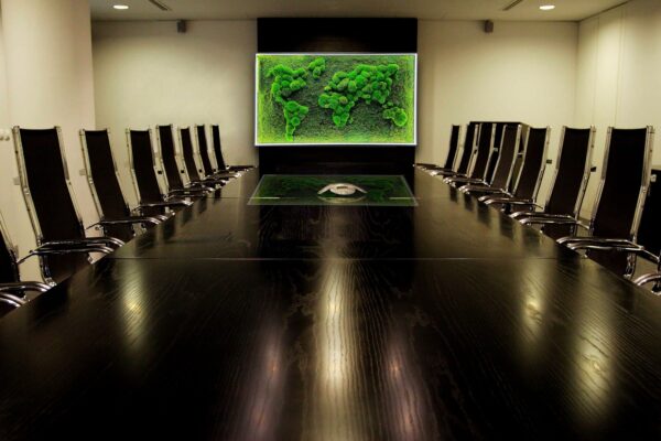 3D Illuminated World Map with Spherical and Flat Moss - Image 8