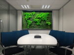 Moss World Map with Flat Moss and Cushion Moss - Image 4