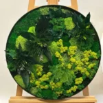 Plant Wall Art Moss Mix