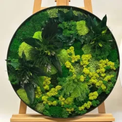 Plant Wall Art Moss Mix