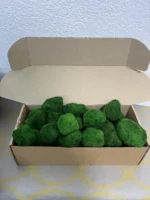 Stabilized Cladophora moss balls in 1 kg box - Image 3