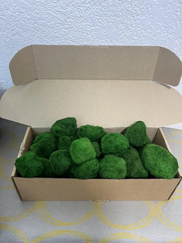 Stabilized Cladophora moss balls in 1 kg box - Image 3
