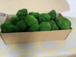 Stabilized Cladophora moss balls in 1 kg box - Image 5