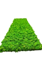 Moss Panel with Preserved Reindeer Moss - Image 5