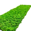 Rectangular preserved reindeer moss wall panel with textured green lichen, angled view on a white background.