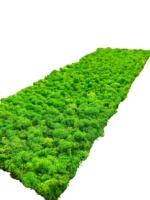 Moss Panel with Preserved Reindeer Moss - Image 4