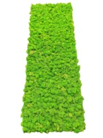 Moss Panel with Preserved Reindeer Moss