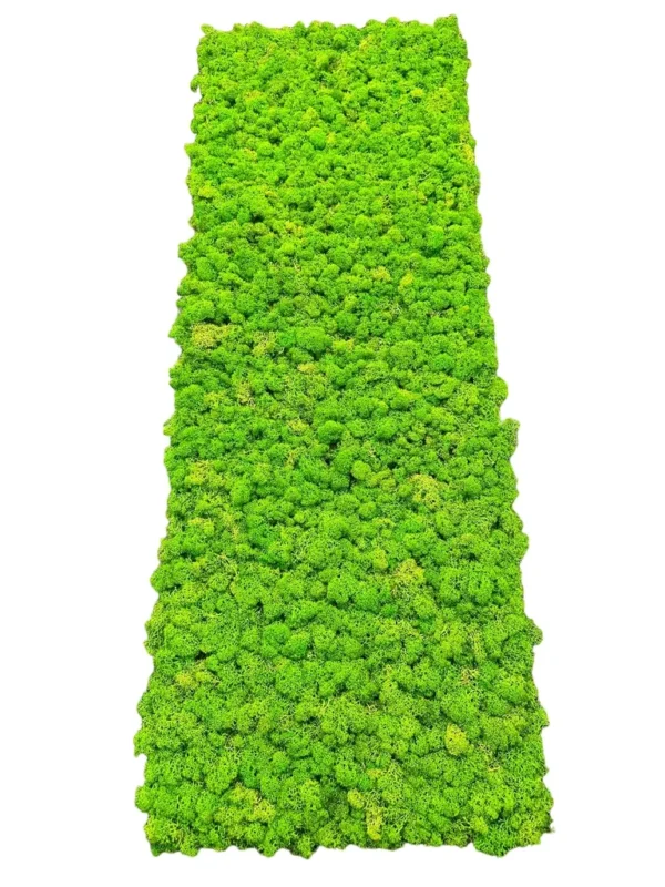 Rectangular preserved reindeer moss wall panel on a white background.