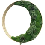 Round Moss Wall Mirror with Moss and Plants