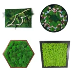 Custom Moss Picture