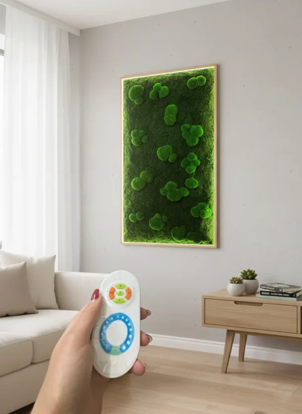 LED Moss Picture – Mix of Ball Moss & Flat Moss - Image 2