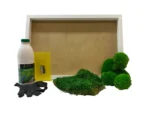 DIY Moss Picture Kit – Mix of Bun Moss and Flat Moss
