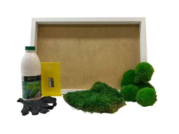 DIY Moss Picture Kit – Mix of Bun Moss and Flat Moss - Image 6