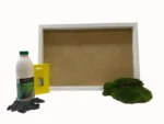 DIY Moss Wall Art Kit – Provence Moss