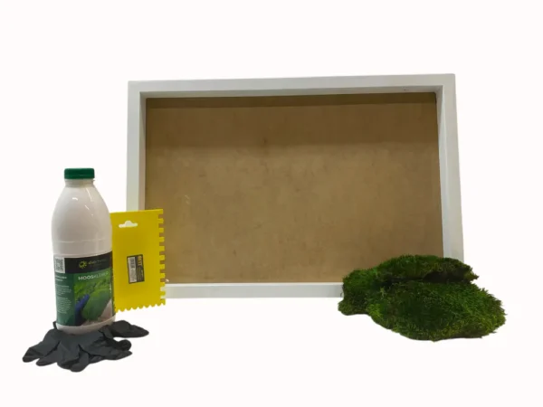 DIY moss wall art kit with frame, preserved moss, adhesive bottle, notched spatula, and gloves