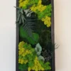 Rectangular black framed wall art panel with green and yellow preserved moss, fern fronds, and eucalyptus leaves.