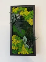 Plant Wall Art: Set of Moss Pictures Made from Real Plants - Image 4
