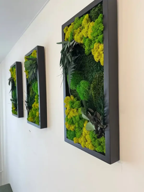Plant Wall Art: Set of Moss Pictures Made from Real Plants - Image 3