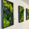 Row of three black framed wall art panels with preserved green moss, fern leaves, and eucalyptus on a white wall.