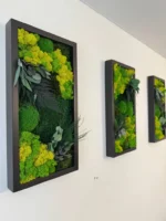 Plant Wall Art: Set of Moss Pictures Made from Real Plants - Image 2