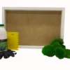 DIY moss wall art kit with frame, bottle of adhesive, notched spreader tool, gloves, and clumps of preserved moss
