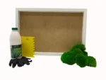 DIY Moss Picture Kit – Ball Moss