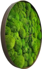 Round Clock with Ball Moss - Image 4