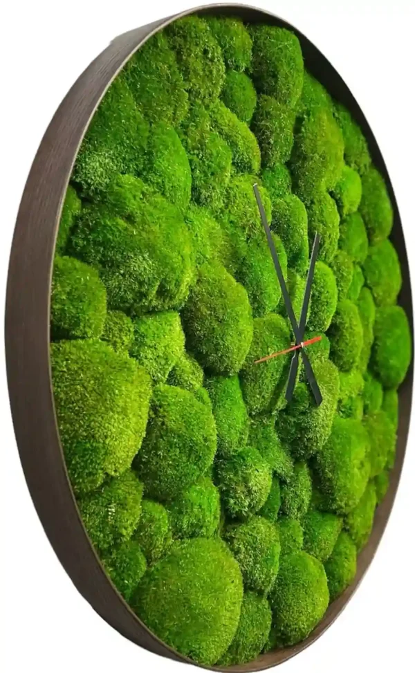 Round Clock with Ball Moss - Image 4