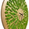 Angled side view of round wooden wall clock featuring radial cutouts filled with vibrant green moss.