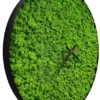 Round green reindeer moss wall clock with black frame and hands, angled side view.